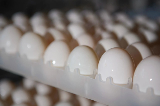 1705387872133113.jpg 1.jpg