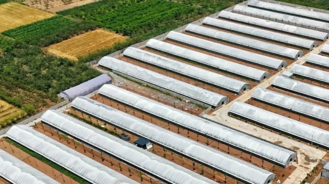 1732841365154539.png 04.png