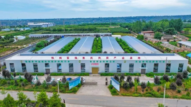 1732841410644075.png 05.png