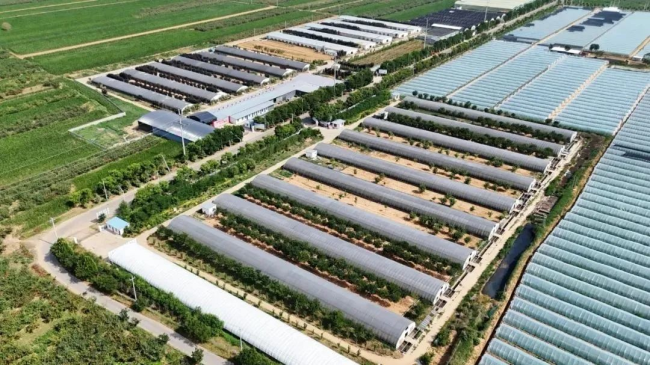 1732841475687798.png 06.png