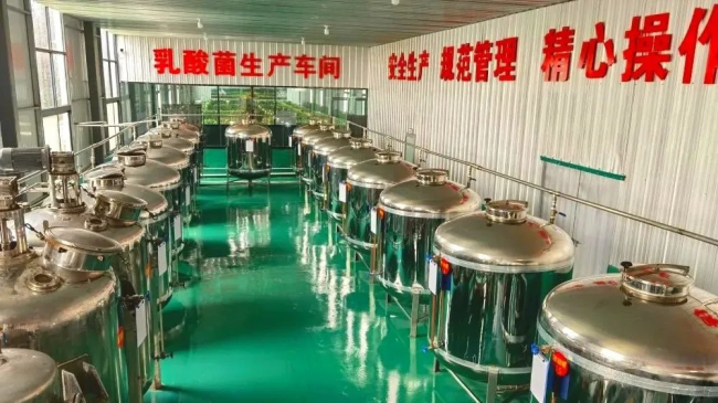 1732841636886653.png 09.png