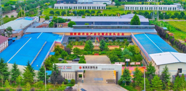 1732842965942281.jpg 1.jpg