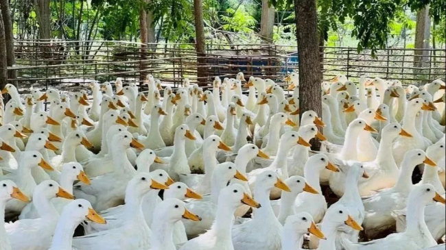 1732843009736404.jpg 03.jpg