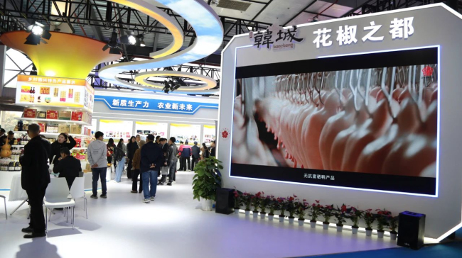 1732866545379124.jpg 5.jpg