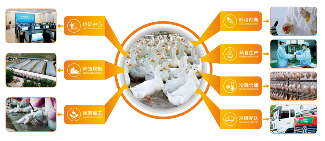 1732866656563981.jpg 10.jpg