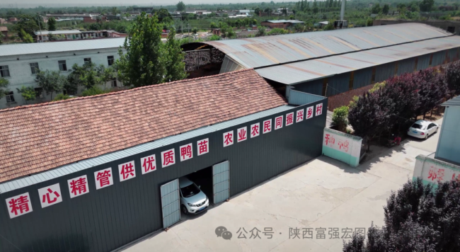 1732870584870423.png 1.png