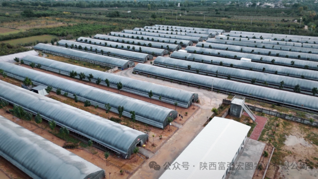 1732870718846628.png 6.png