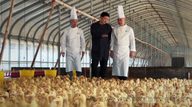 1732870751292099.png 8.png