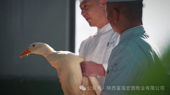 1732870795271766.png 10.png