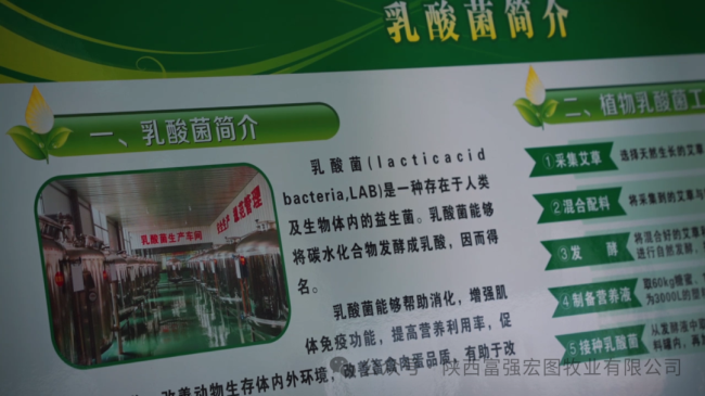 1732870855161963.png 12.png