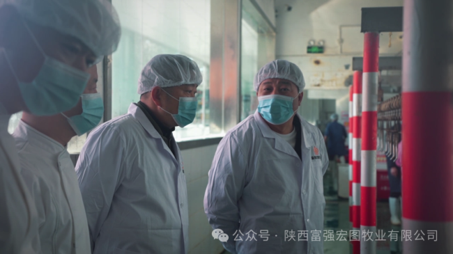 1732870899879382.png 14.png