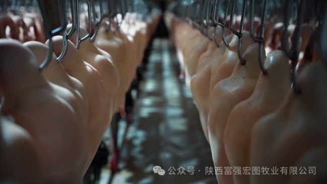 1732870920973217.png 15.png