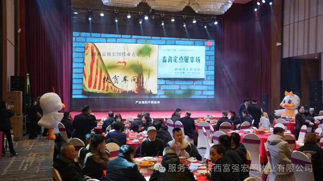 1737597914699066.jpg 34.jpg