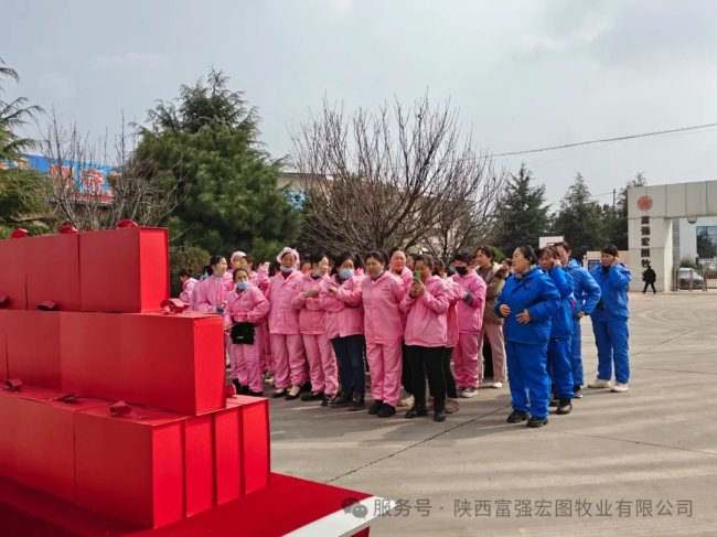 1744704891998153.jpg 1.jpg