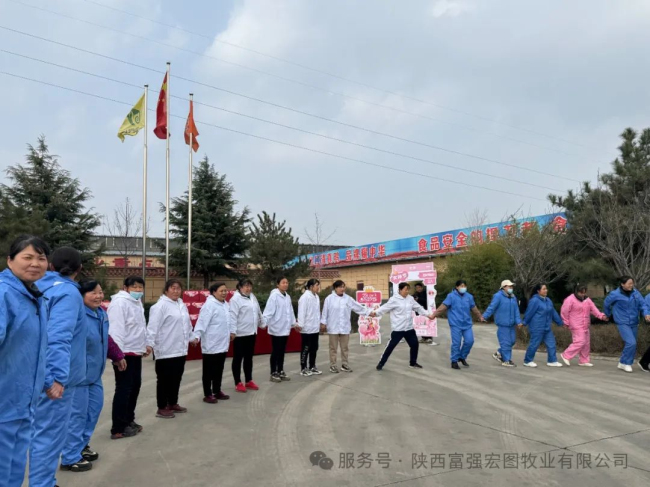 1744705136851171.jpg 5.jpg