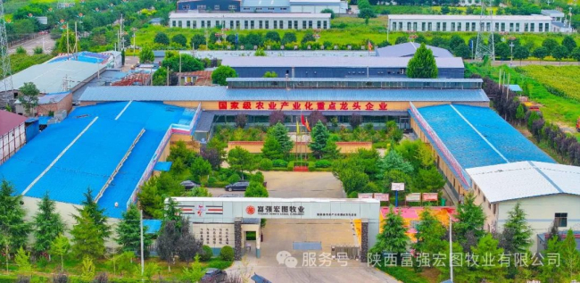 1744706685946508.jpg 1.jpg