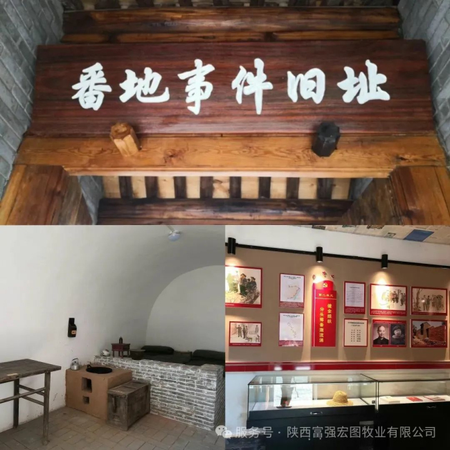 1744706960110681.jpg 6.jpg