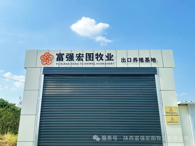 1744707123258031.jpg 10.jpg