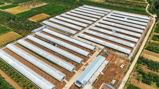 1744707139943442.jpg 11.jpg