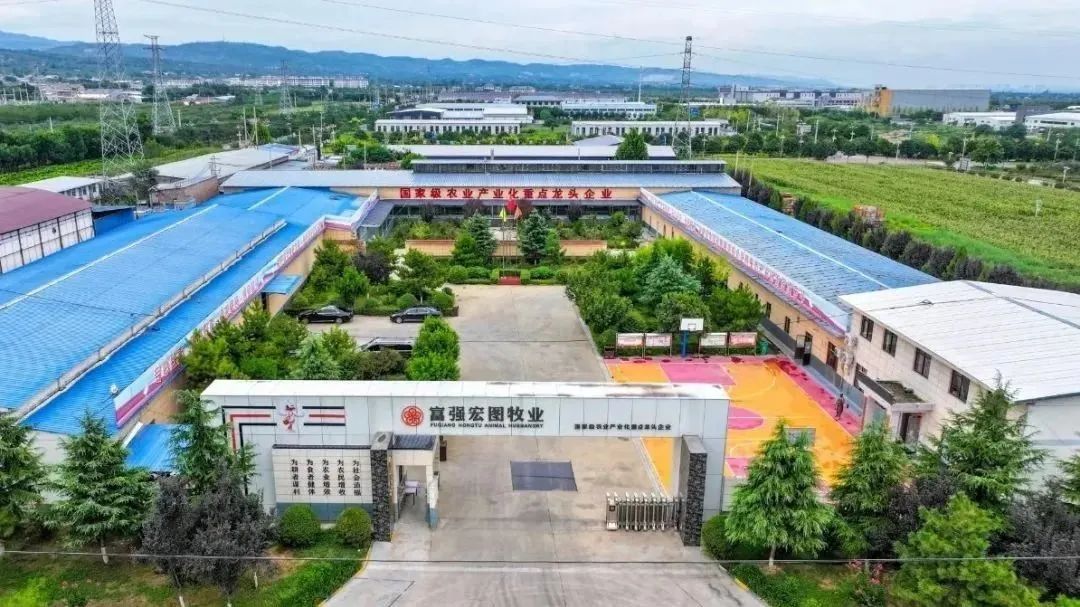 1747208480634280.jpg 3.jpg