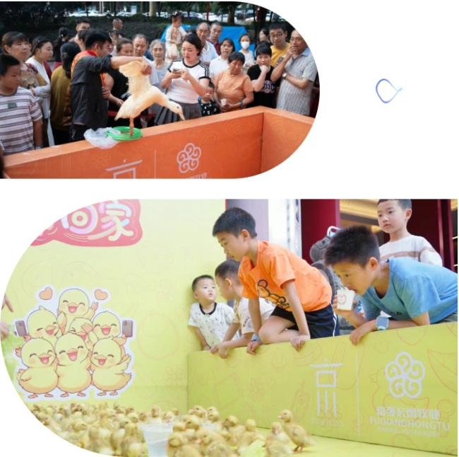 1750232566726904.jpg 9.jpg