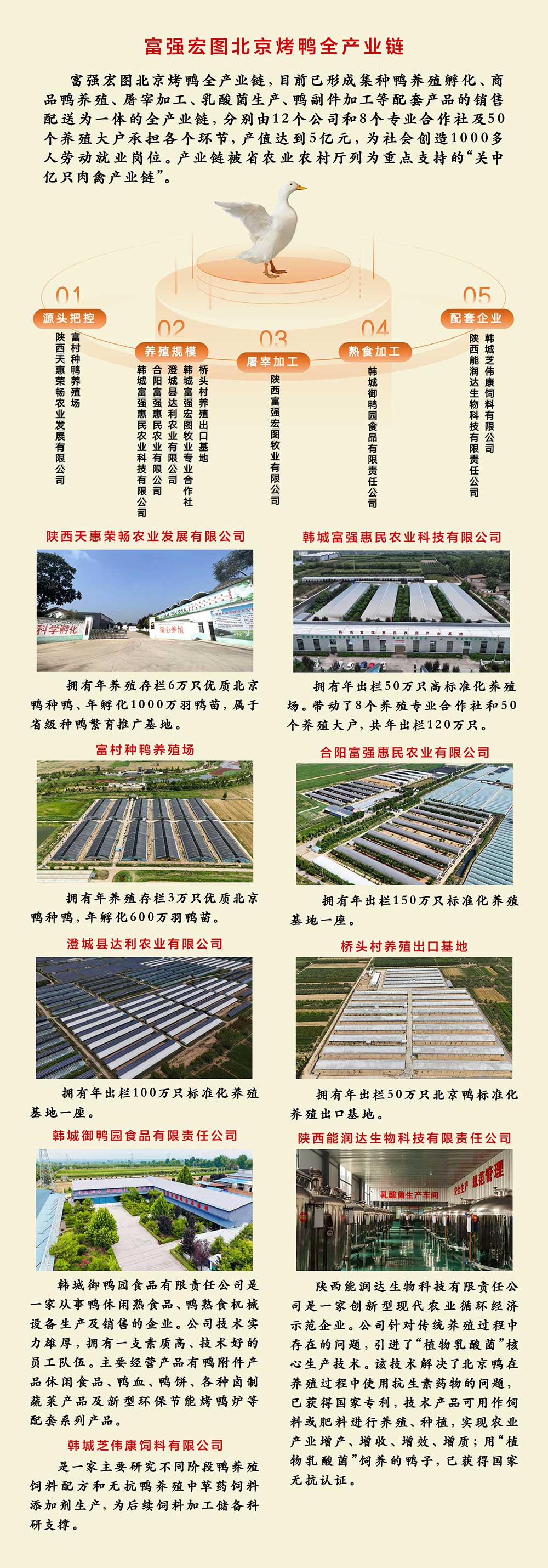 1755582992514978.jpg chanyelian.jpg